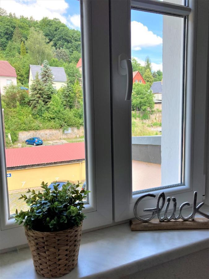 Sandstein-Ferien, Kamin, Fewo "Wanderfalke", Zentral & Ruhig, Terrasse, Saechs Schweiz Königstein Esterno foto